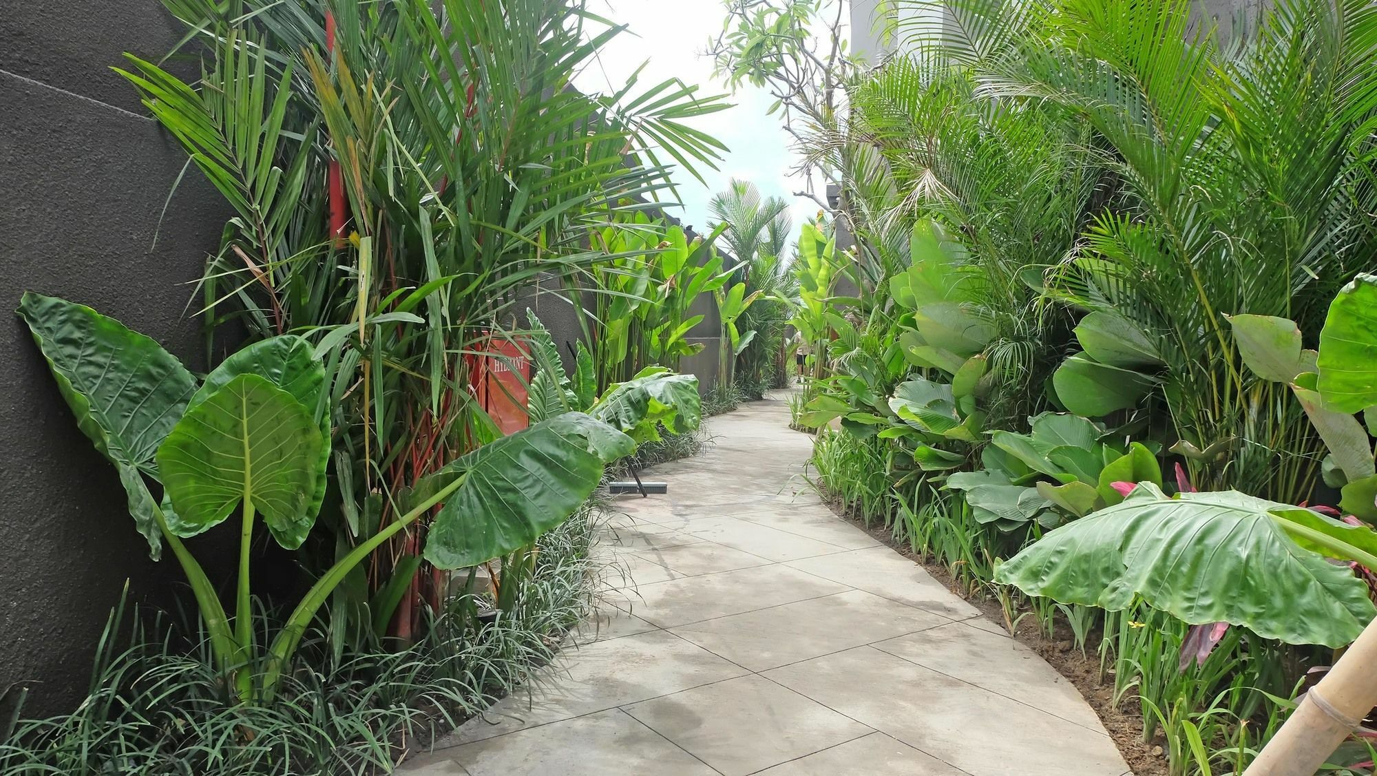 Sense Canggu Beach Hotel Екстер'єр фото